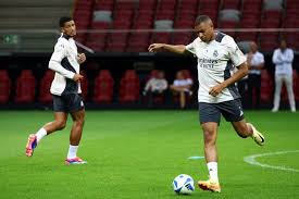 无论是像李 无论是像李